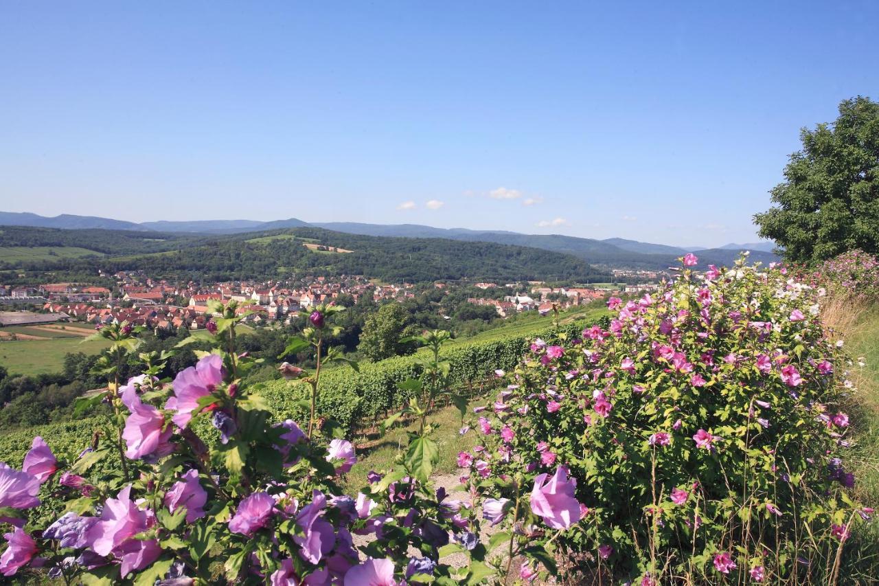 Hotel L'Ours De Mutzig Zewnętrze zdjęcie